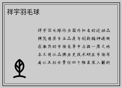 祥宇羽毛球